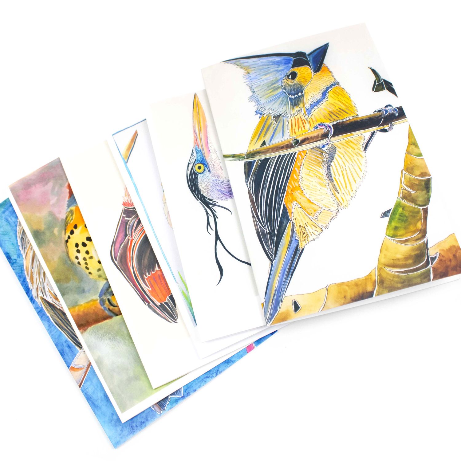 Birds, 6 cards BARC267