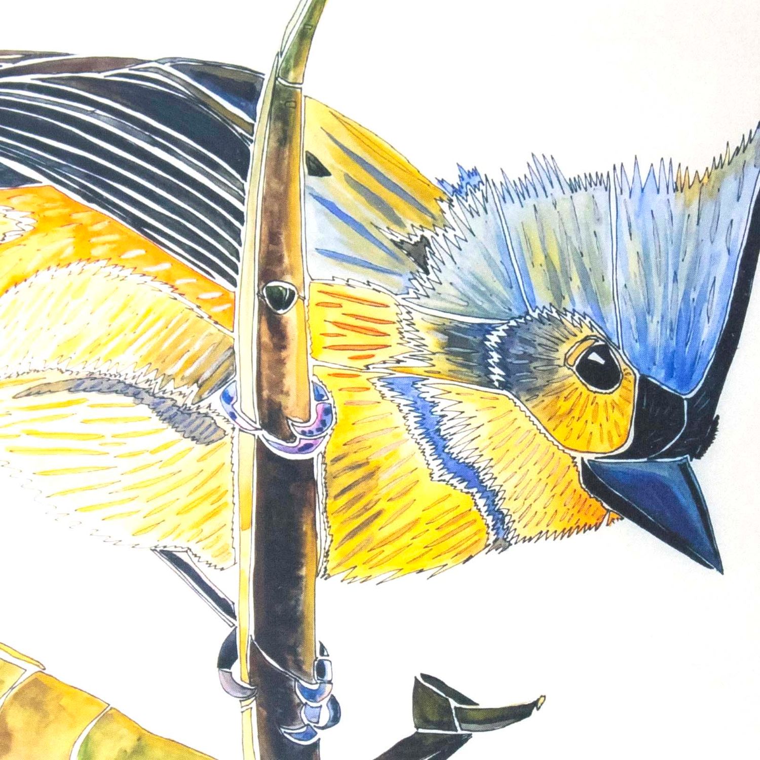 Tufted Titmouse, card BARC263