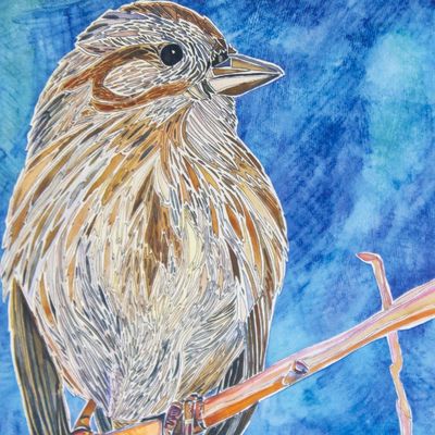 Song Sparrow Sings, card BARC261