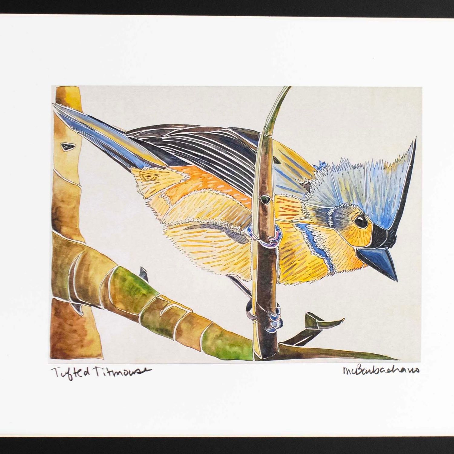 Tufted Titmouse with Black Mat, print BARC276