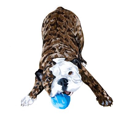 Nala: English Bulldog, sticker WILR02