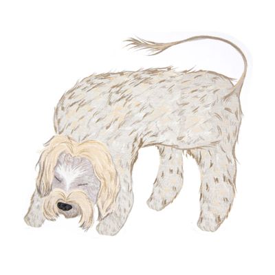 Bear: Yorkier, sticker WILR05