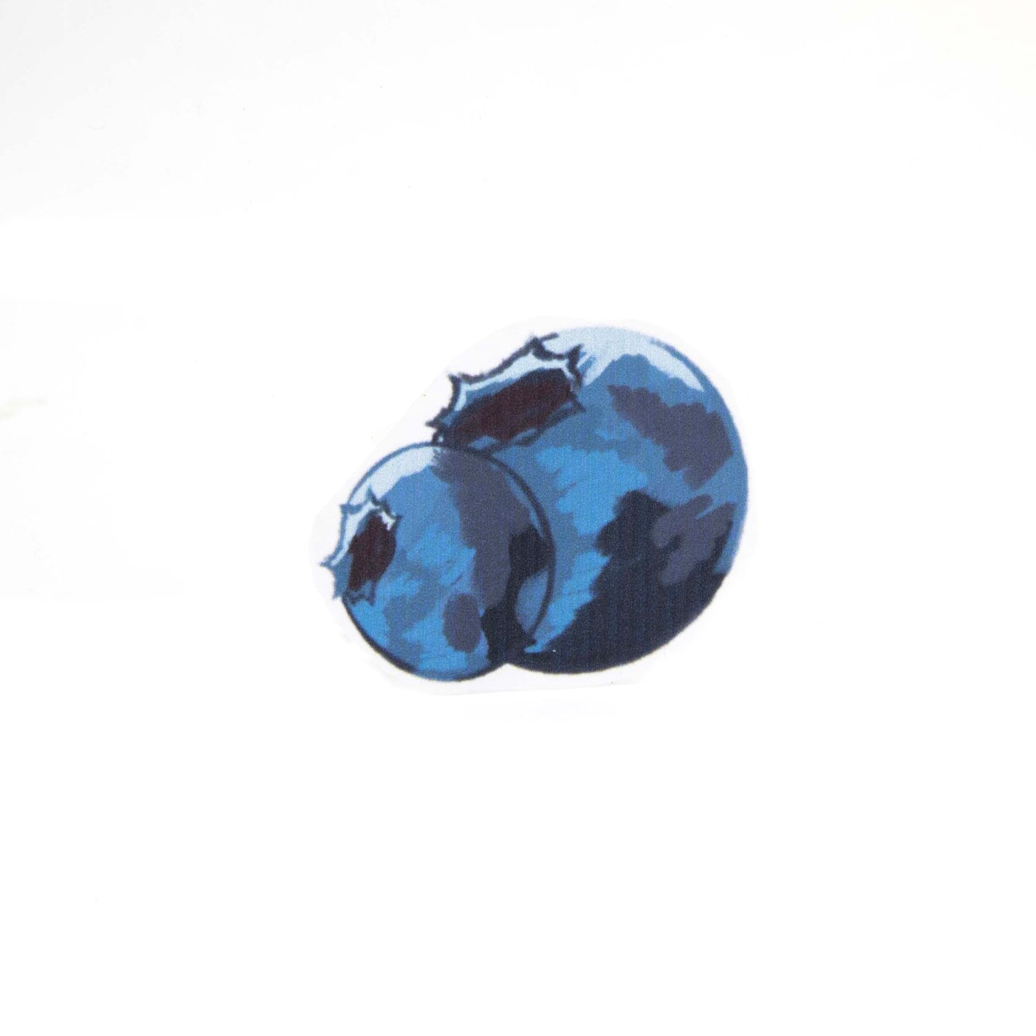 Droolberry: Blueberries, sticker WILR07