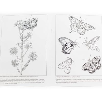 Picturing Pollination, coloring book SLAR13