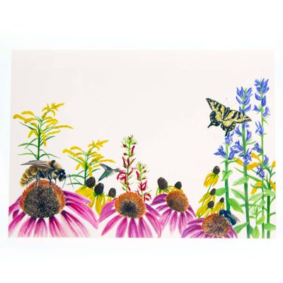 Mid-Atlantic Meadow, print SLAR17