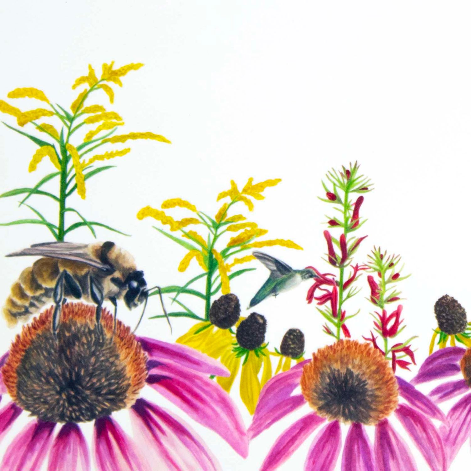 Mid-Atlantic Meadow, print SLAR17