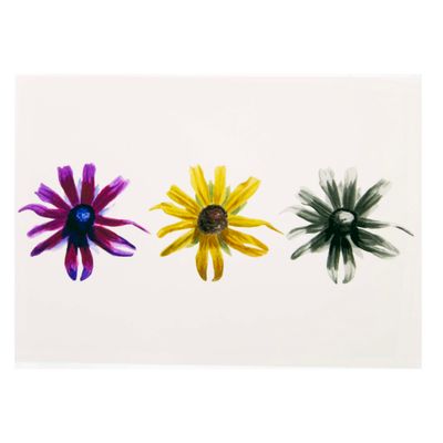 Rudbeckia Triloba 3 ways, print SLAR16