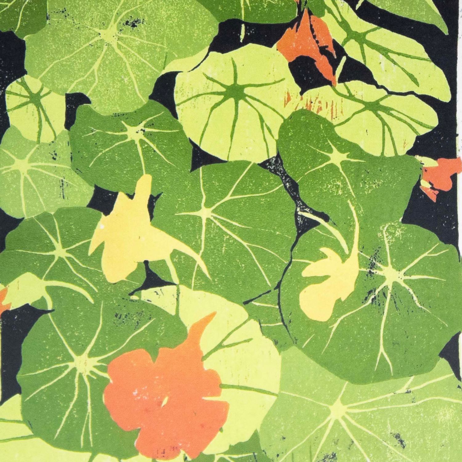 Nasturtium, card ARMK064