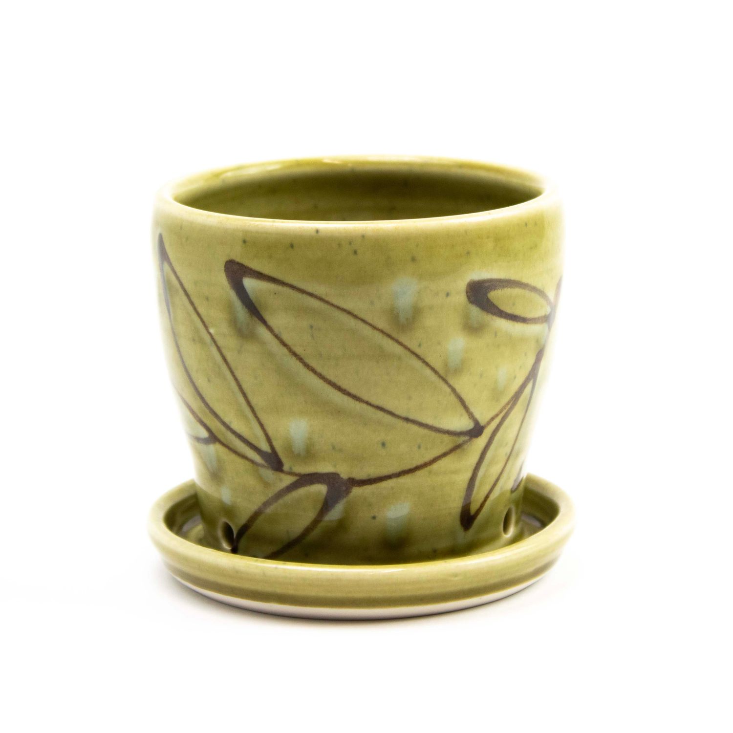 Avocado, small planter HECL435
