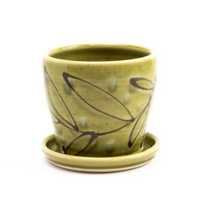 Avocado, small planter HECL435