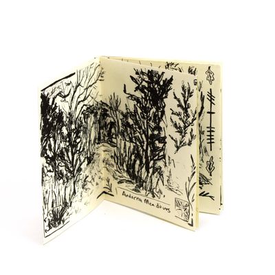 Landscapes of the Wissahickon, riso book NULR01