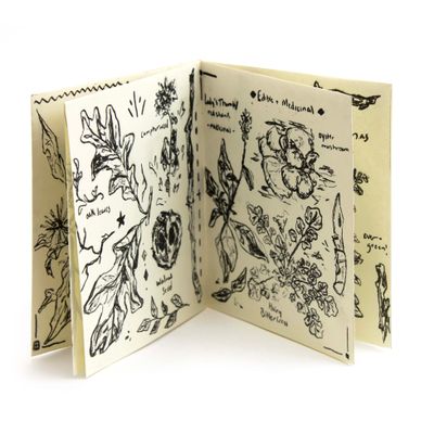 Flora and Fauna of the Wissahickon, riso book NULR03