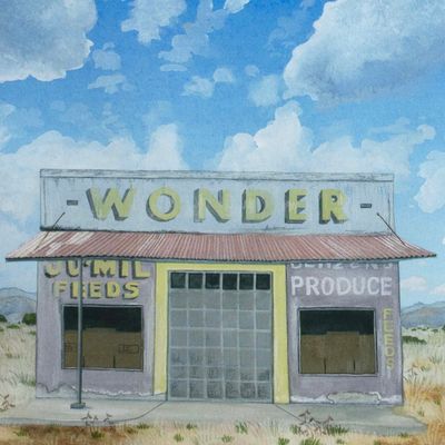 Wonder, print SUNH111