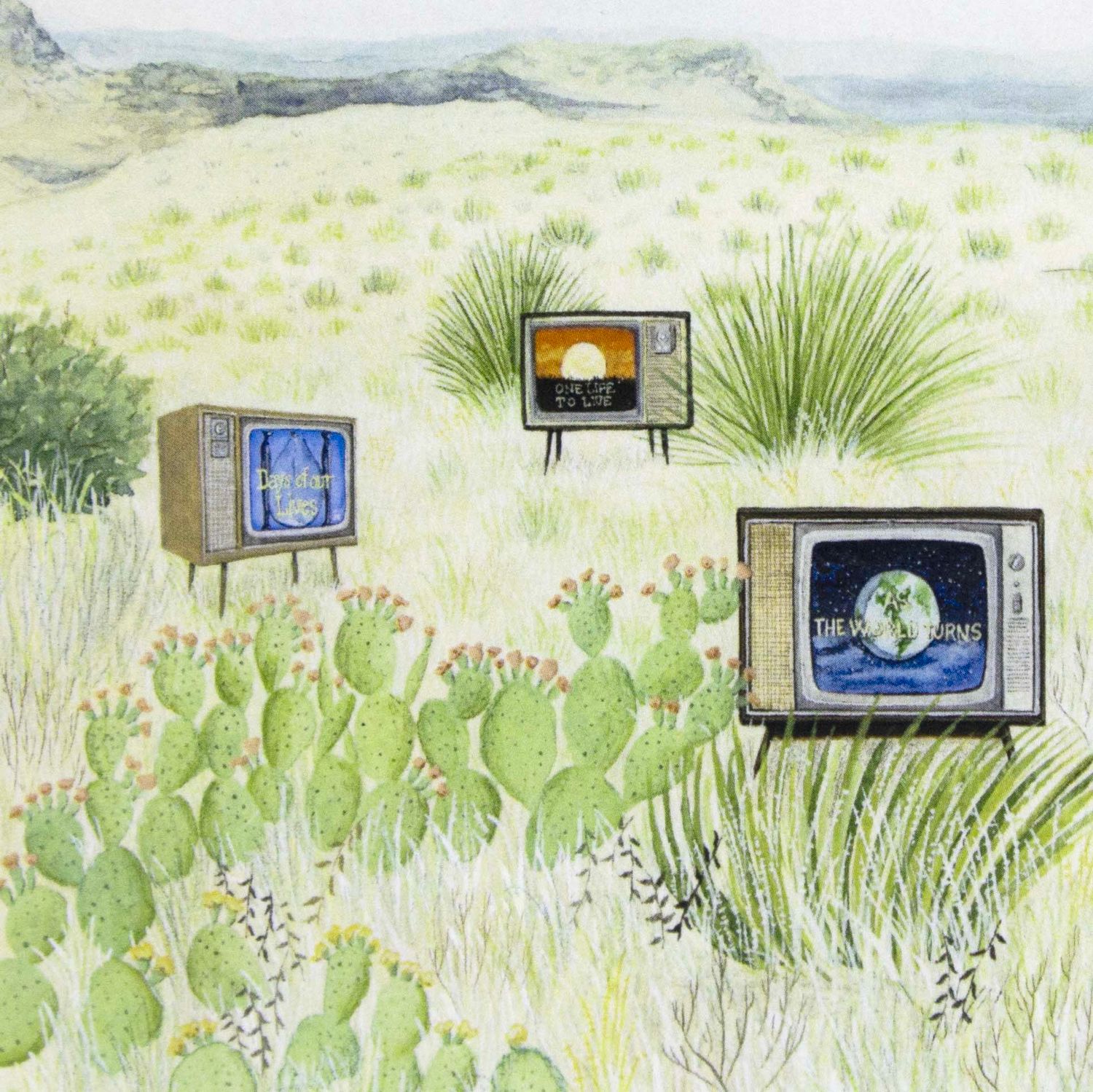 Soap Operas (TVs in cactus), pocket print SUNH103