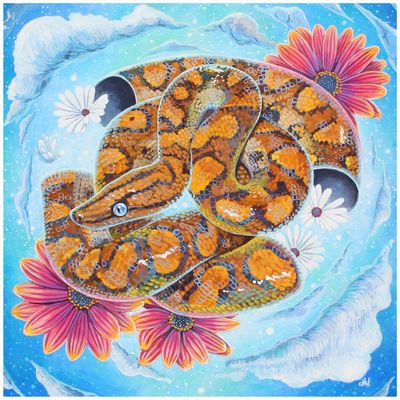 Celestial Boa, medium print PERM012