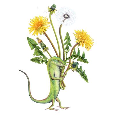 Anole Friend, notecard PERM033