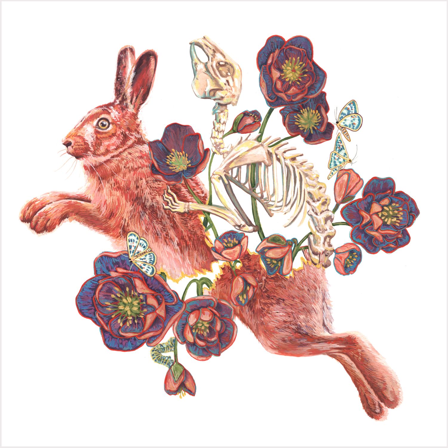 Hare Hellebore, medium print PERM018