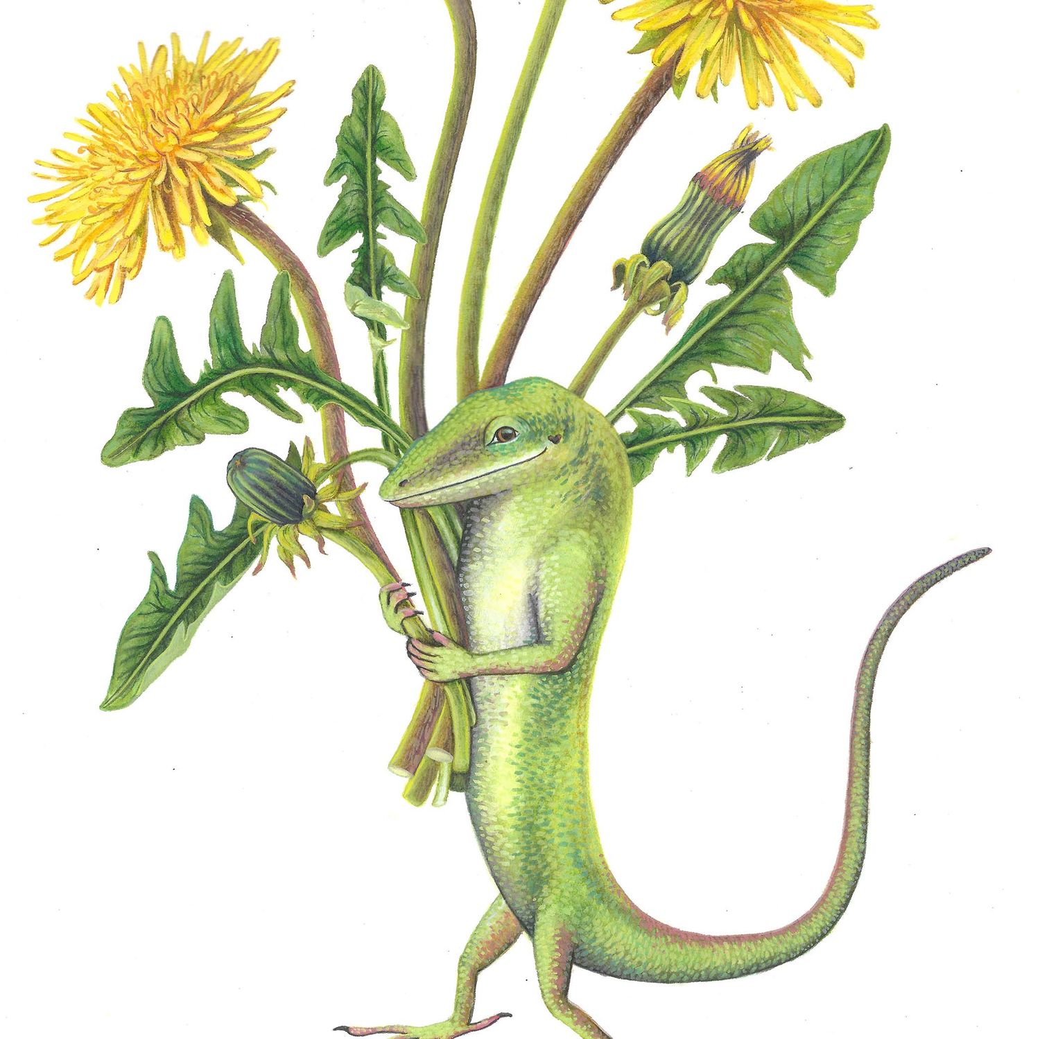Anole Friend, medium print PERM024