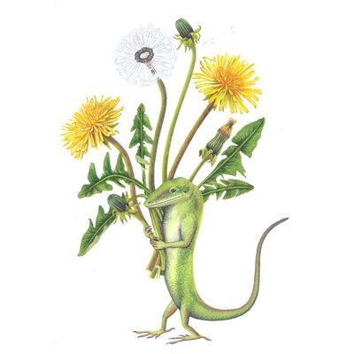 Anole Friend, medium print PERM024