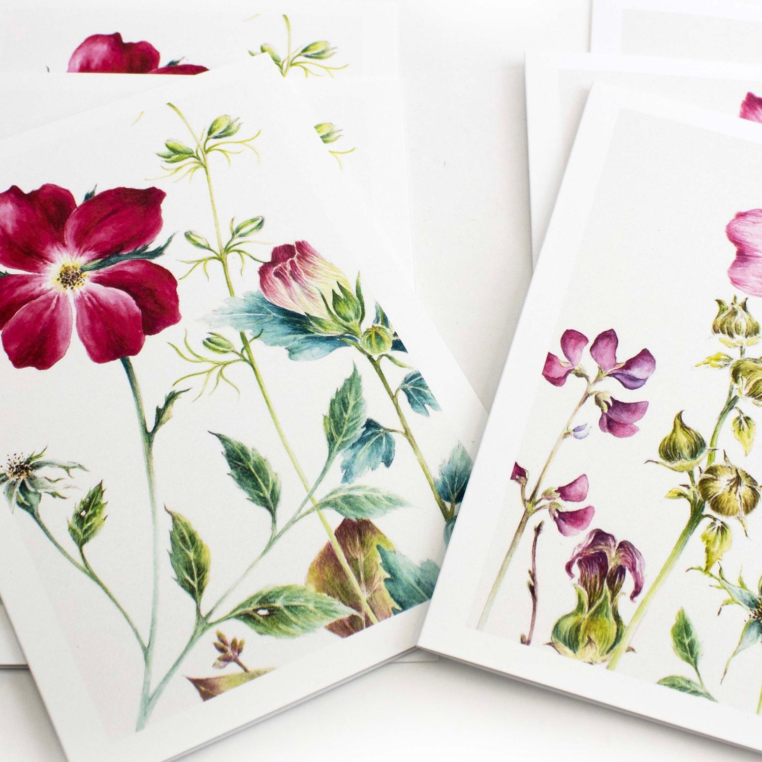 Garden of the Soul, 6 notecards ENDE238