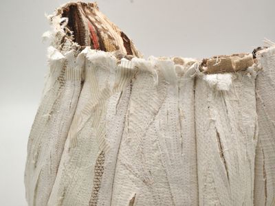 Whitewashed series: Human. Kind?