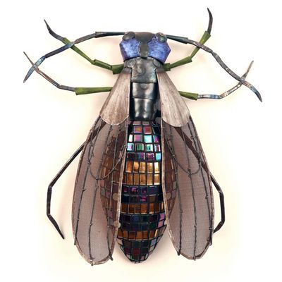 Wasp