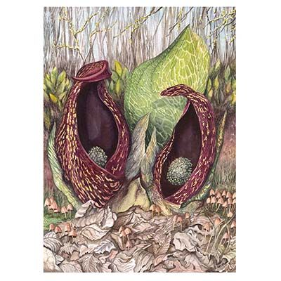Harbinger, medium print GERS34