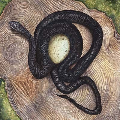 Orphic Egg, large print GERS37