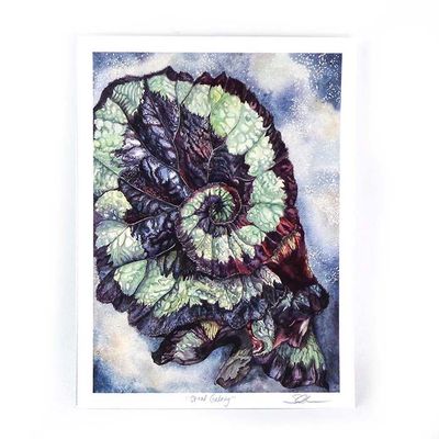 Spiral Galaxy, large print GERS42