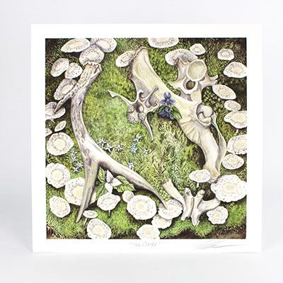The Circle, large print GERS45