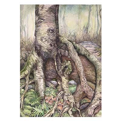 Circulatory, medium print GERS54