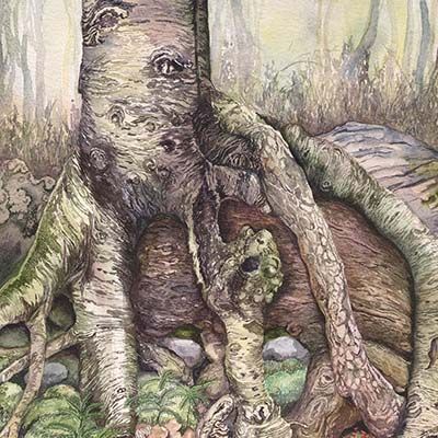 Circulatory, medium print GERS54