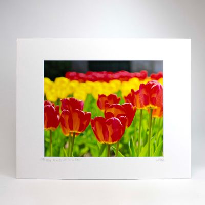 Pretty Maids All in a Row, matted photo SHAM067