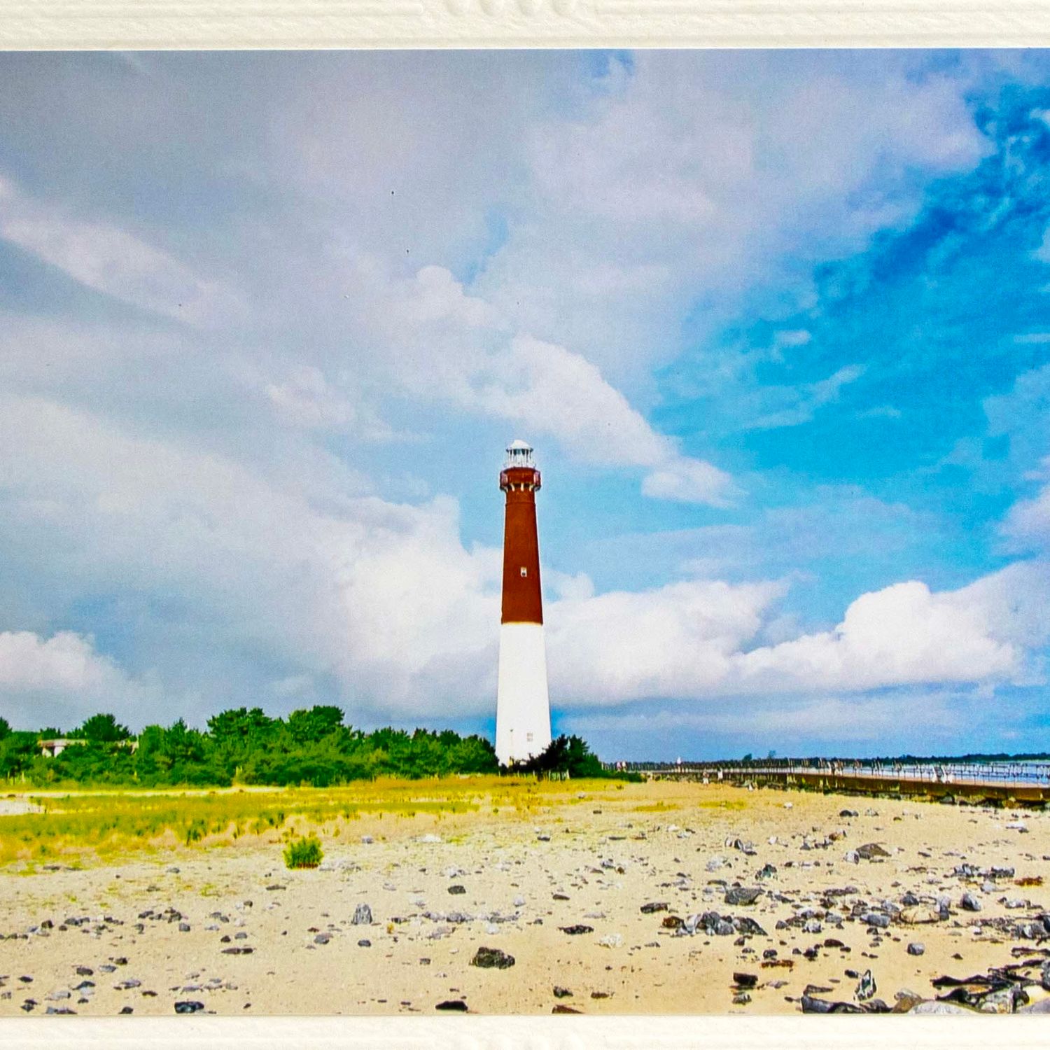Old Barney, photo notecard SHAM070