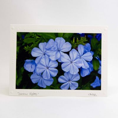 Summer Nights, photo notecard SHAM072