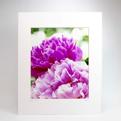 Double Trouble, matted photo SHAM064