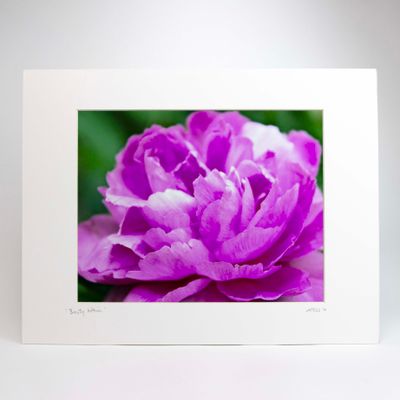 Beauty Within, matted photo SHAM063