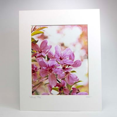 Think Pink, matted photo SHAM062