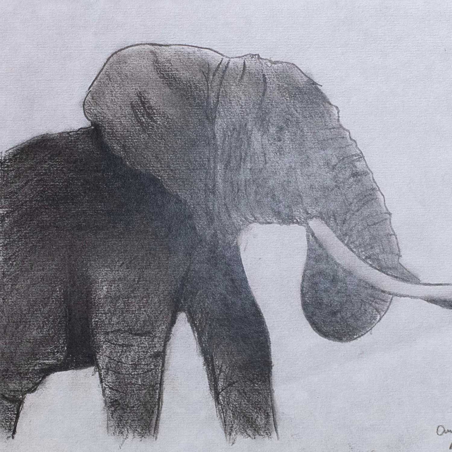Charcoal Elephant, print FEST07