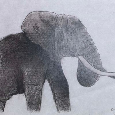 Charcoal Elephant, print FEST07