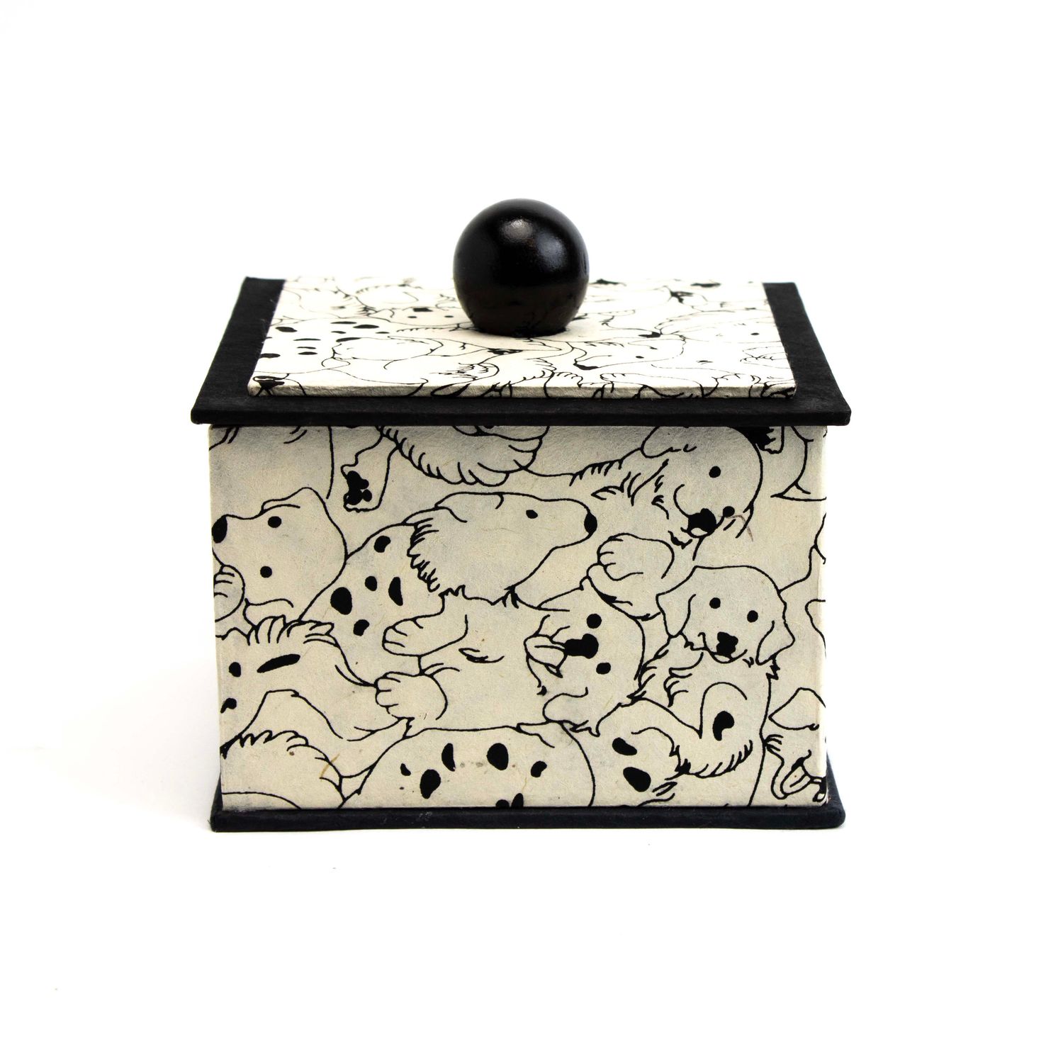Black and White Puppies, square box COLD896