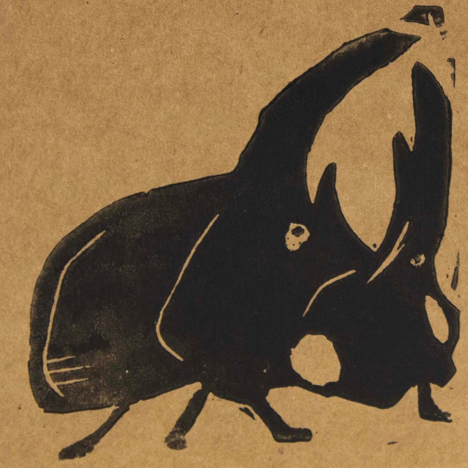 Beetle, woodblock card LAPR743
