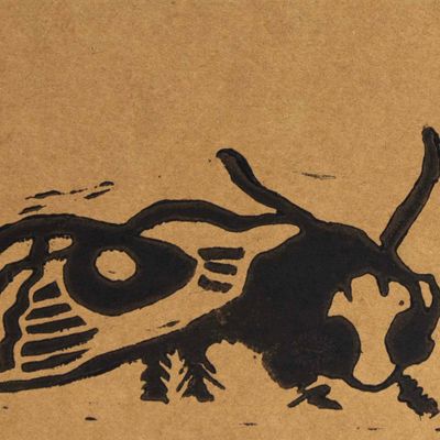 Moth, woodblock card LAPR739