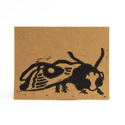 Moth, woodblock card LAPR739