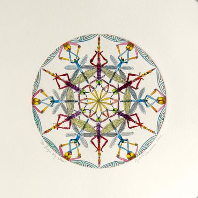 Dragonfly Wheel, etching COAE045