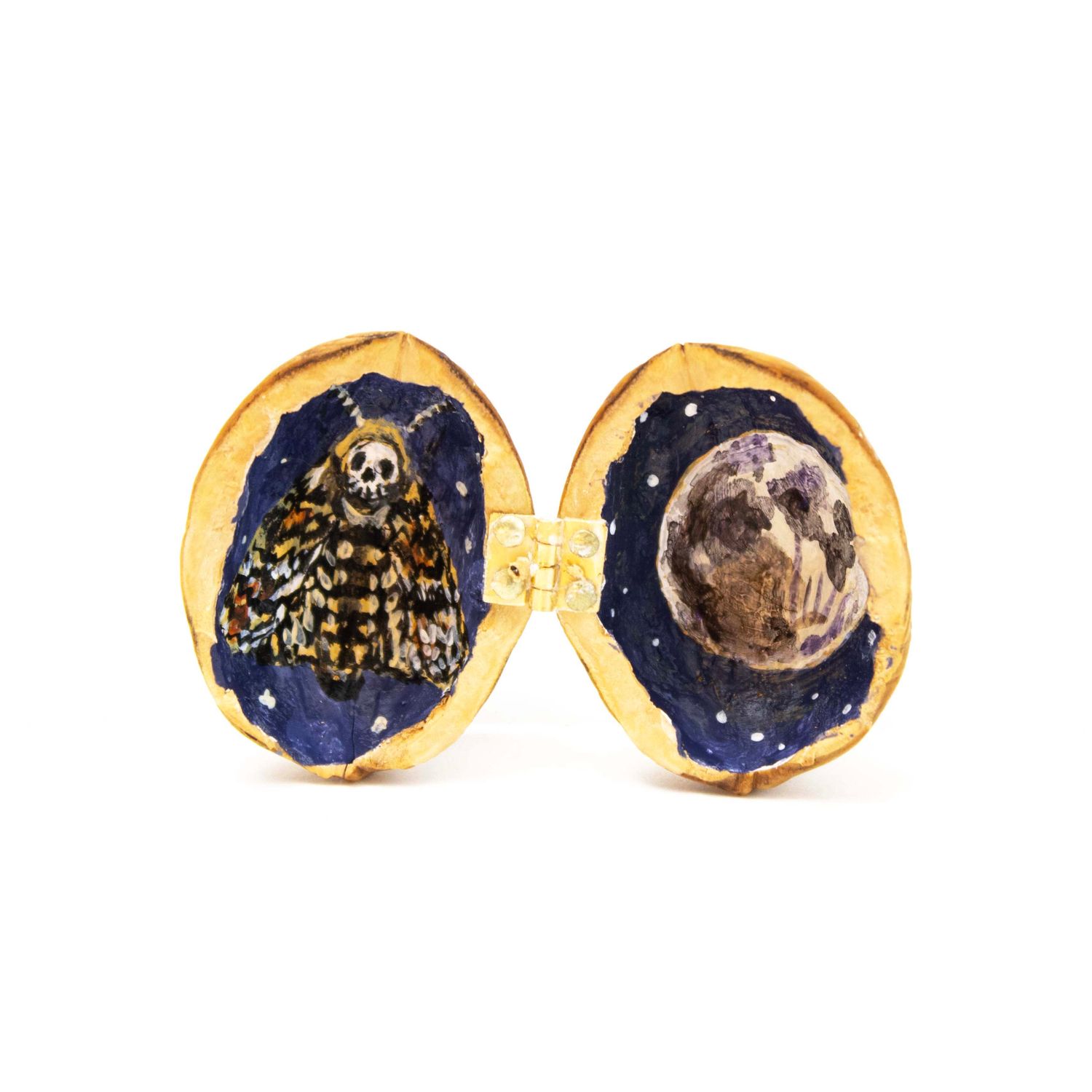 Death's Head Hawkmoth, walnut painting GERS66
