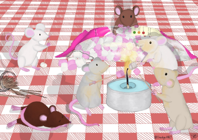 'Mousemallows' Colour Print