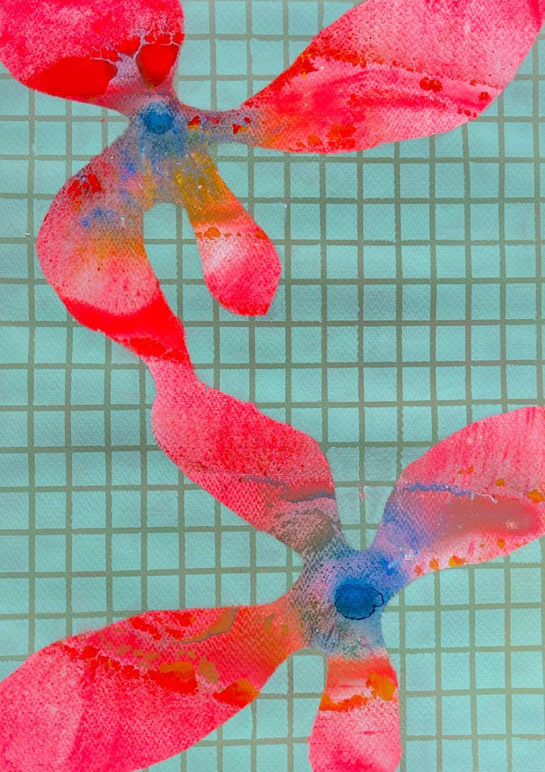 Fiore 20 (50x70) (Edição Especial)