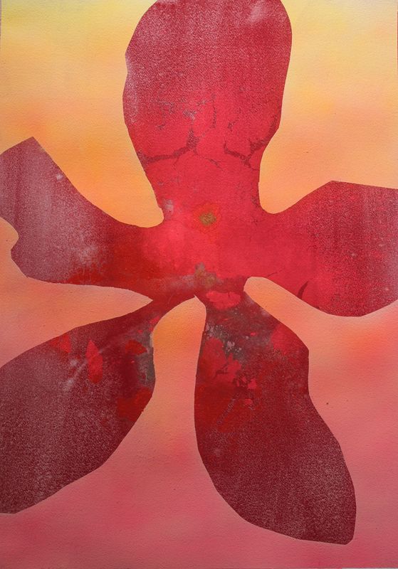 Fiore 20 (50x70) (Edição Especial)