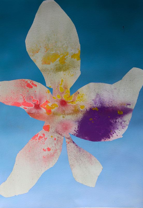 Fiore 20 (50x70) (Edição Especial)